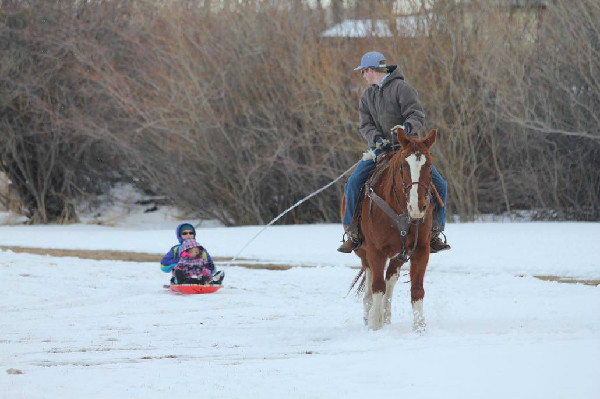 Vee Bar Ranch sledding horses